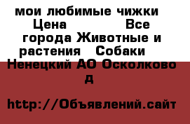 мои любимые чижки › Цена ­ 15 000 - Все города Животные и растения » Собаки   . Ненецкий АО,Осколково д.